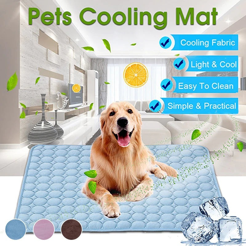 Lilo’s Chill Zone Pad