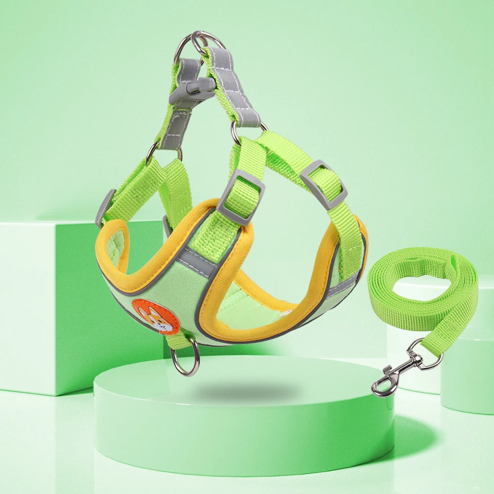 Lilo’s No-Pull Soft Harness