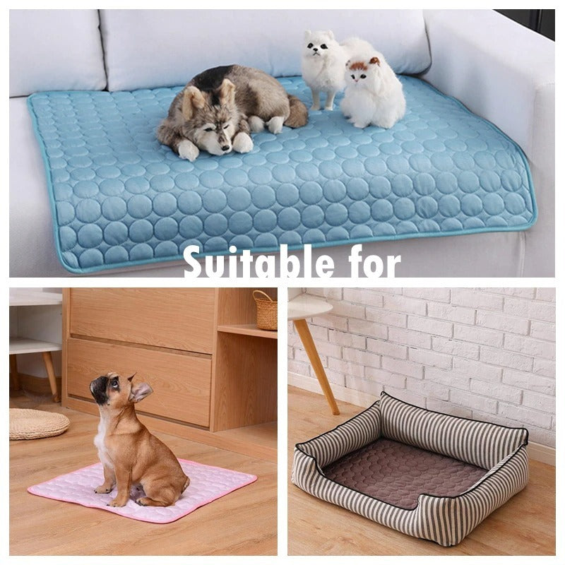 Lilo’s Chill Zone Pad