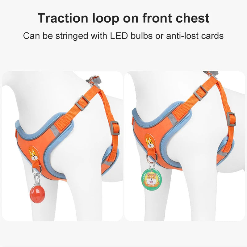 Lilo’s No-Pull Soft Harness