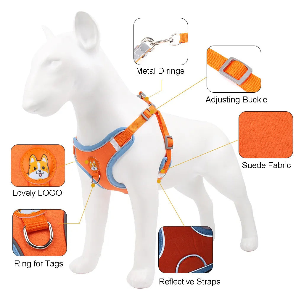Lilo’s No-Pull Soft Harness