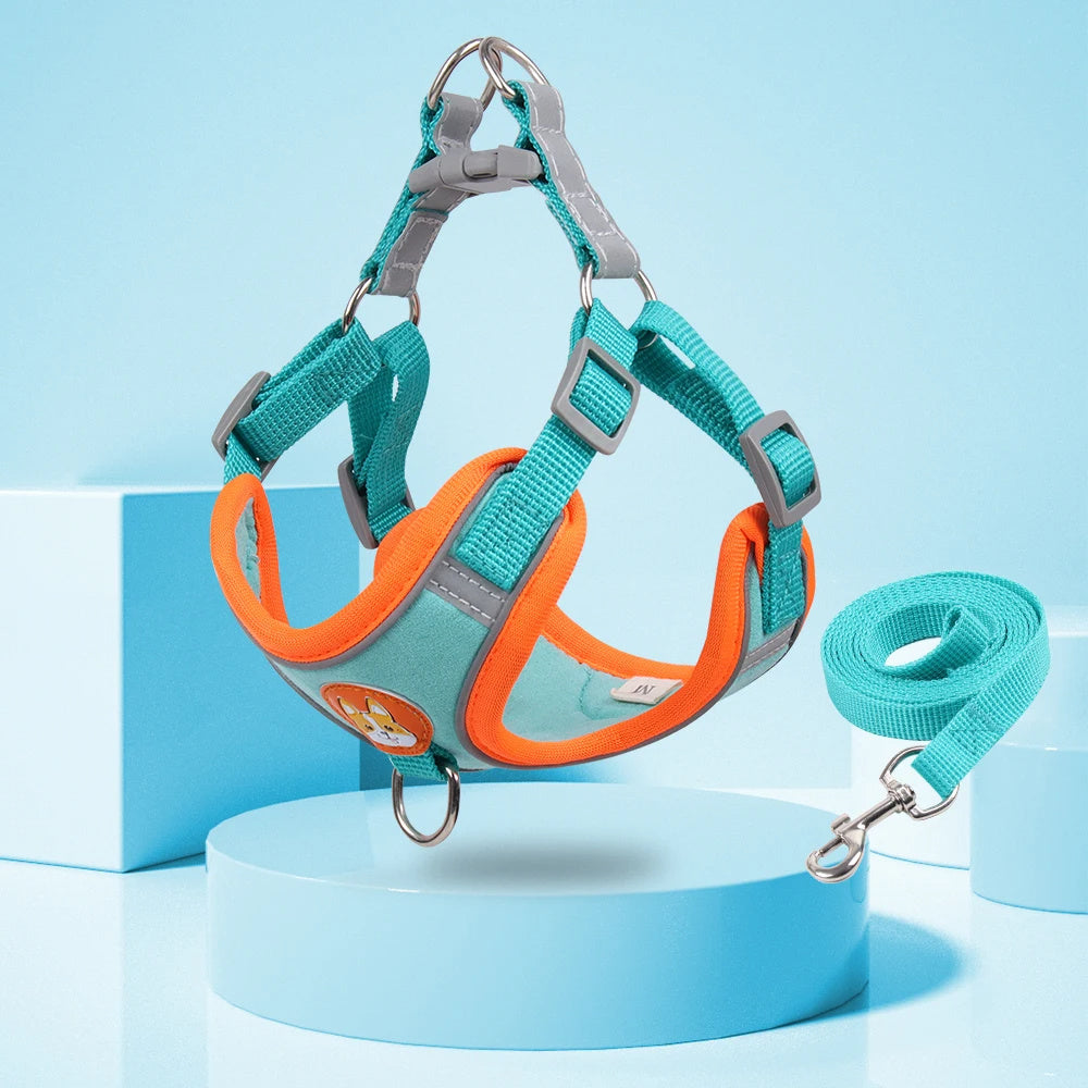 Lilo’s No-Pull Soft Harness