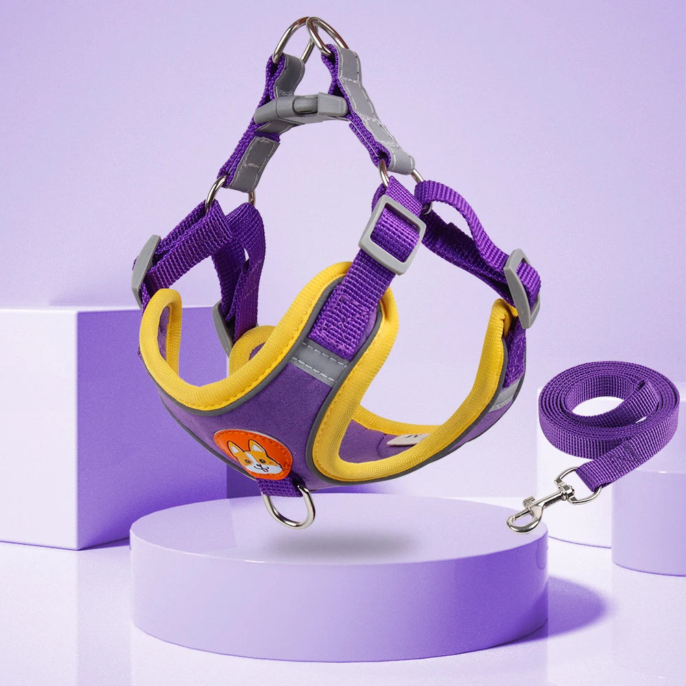 Lilo’s No-Pull Soft Harness