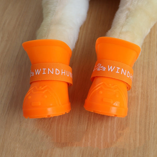 Lilo’s Summer Paw Protectors