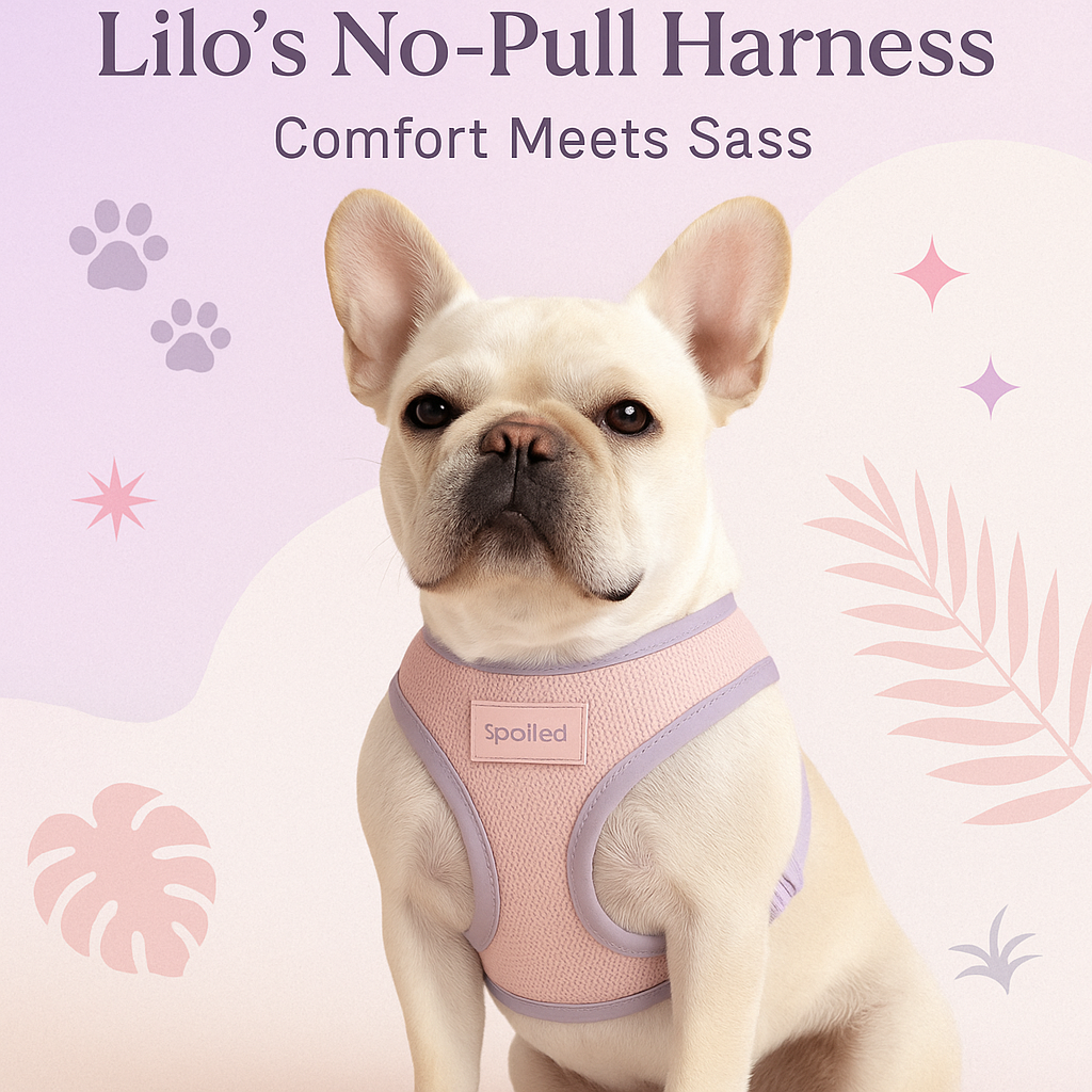 Lilo’s No-Pull Soft Harness