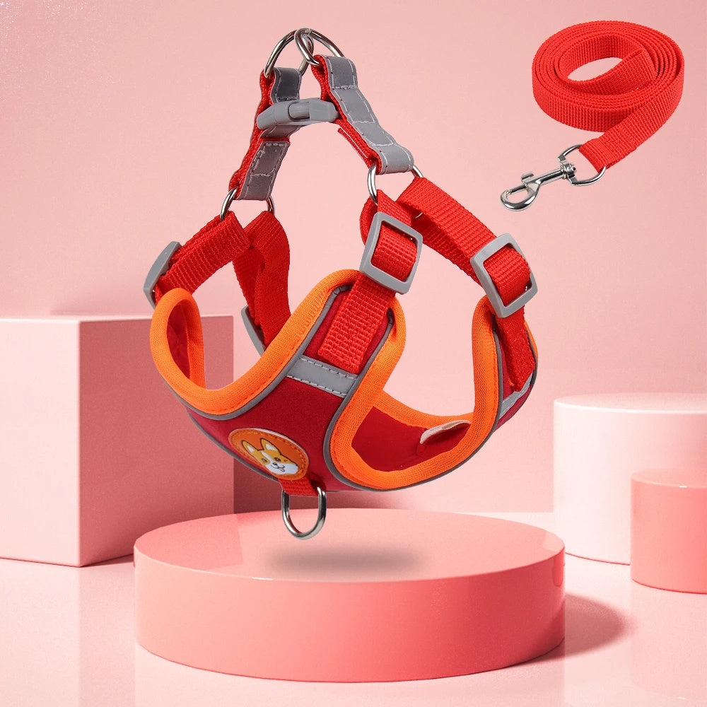 Lilo’s No-Pull Soft Harness