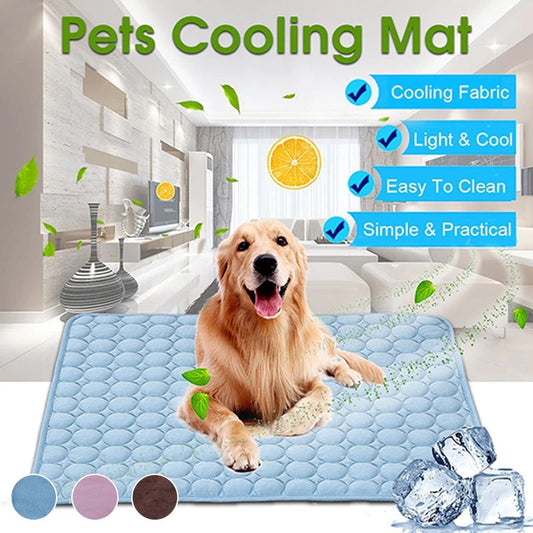 Lilo’s Chill Zone Pad