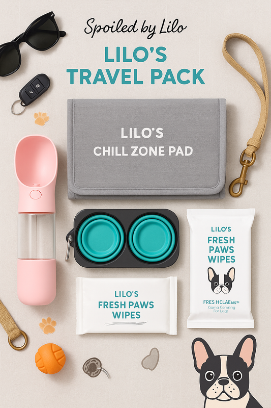 Lilo’s Travel Pack